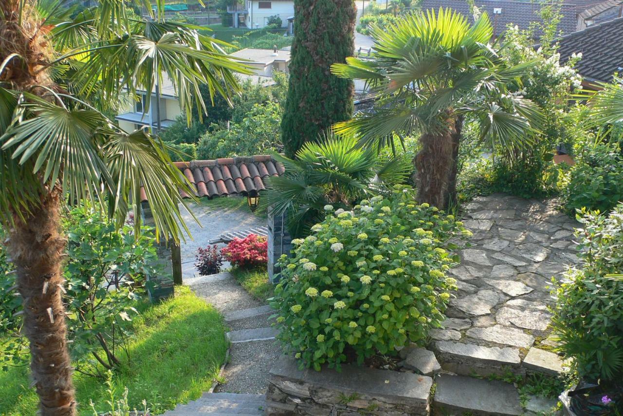 Appartamento Casa Petra 1 1/2 Zi, Orgnana 83 Gambarogno Esterno foto