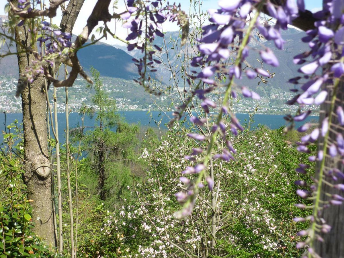 Appartamento Casa Petra 1 1/2 Zi, Orgnana 83 Gambarogno Esterno foto