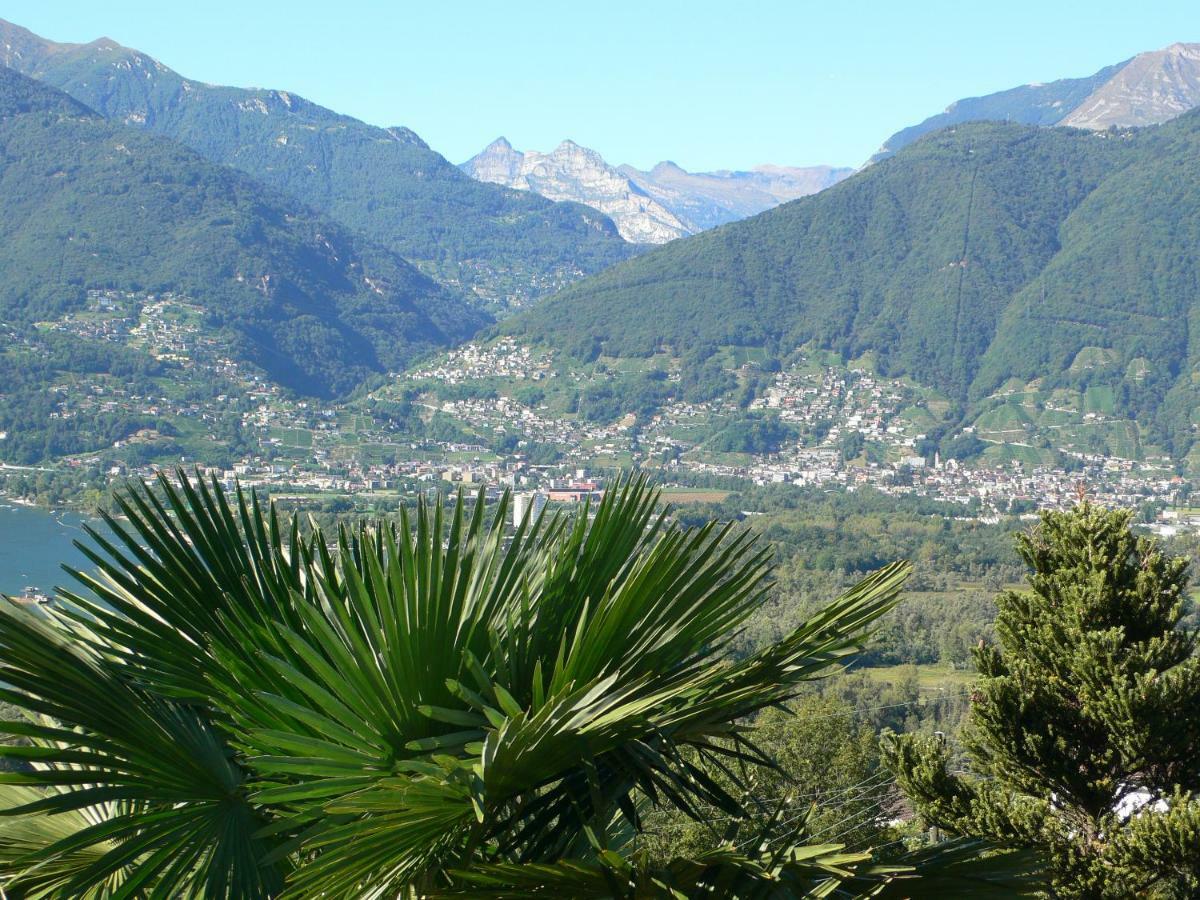 Appartamento Casa Petra 1 1/2 Zi, Orgnana 83 Gambarogno Esterno foto