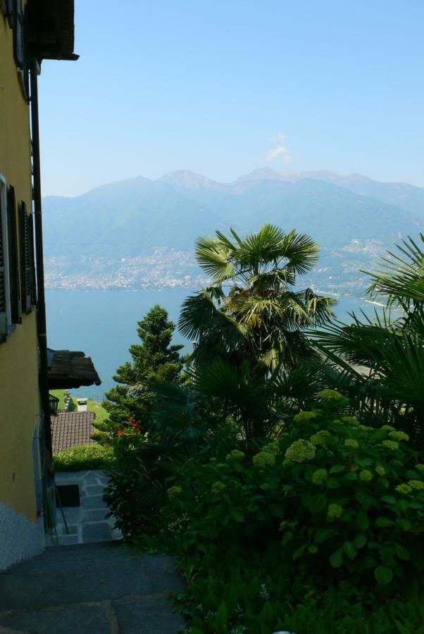 Appartamento Casa Petra 1 1/2 Zi, Orgnana 83 Gambarogno Esterno foto