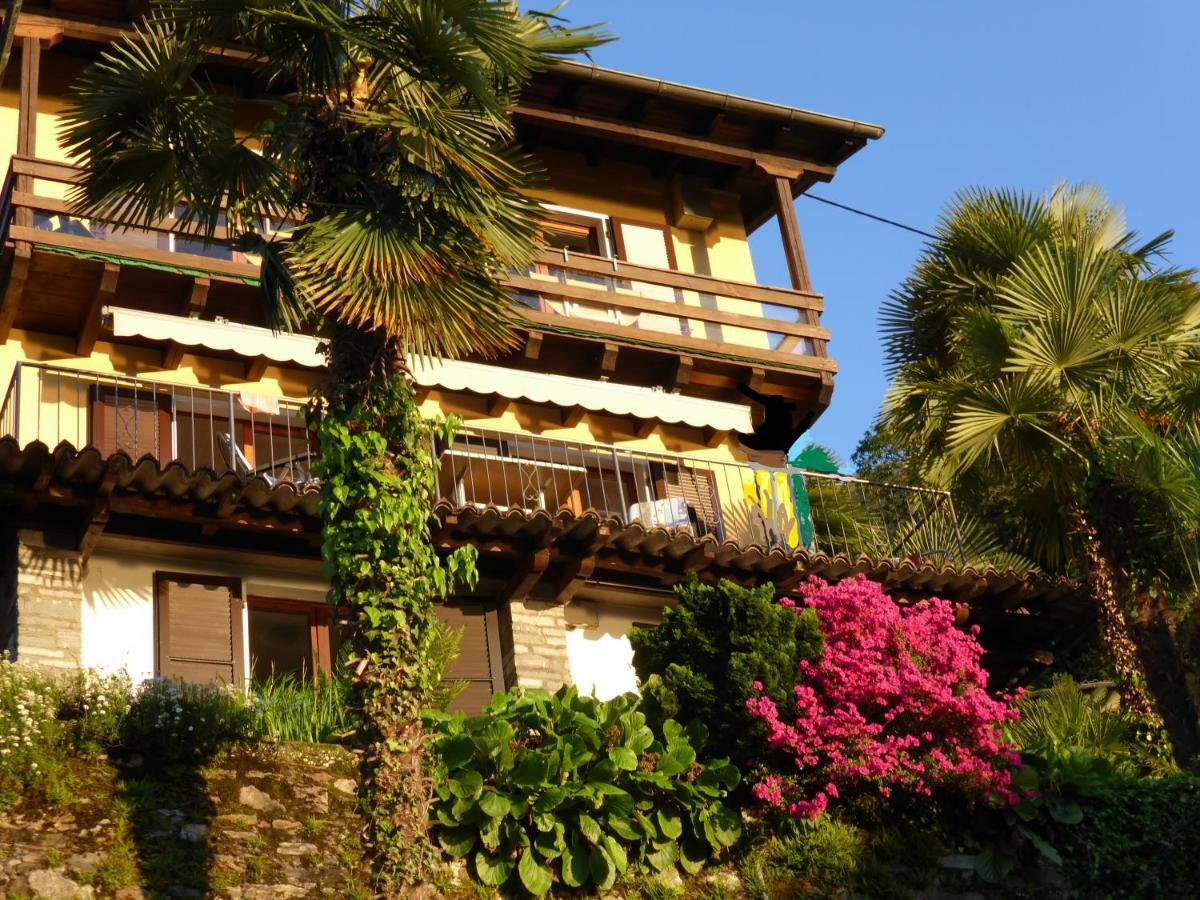 Appartamento Casa Petra 1 1/2 Zi, Orgnana 83 Gambarogno Esterno foto